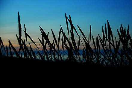 Abend in den Dünen - Ostsee bei Sæby