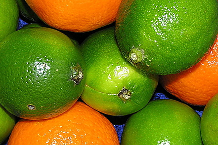 Limetten und Orangen, Lehrte