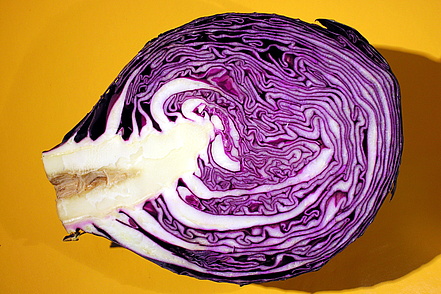 Red cabbage from Farmer Stolze, Lehrte