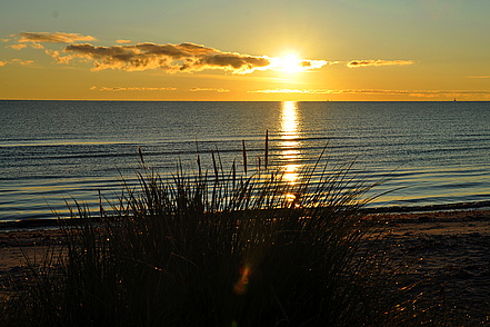 Sonnenaufgang über der Ostsee - bei Sæby